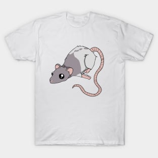 A Little Rattie - Blue Hooded T-Shirt